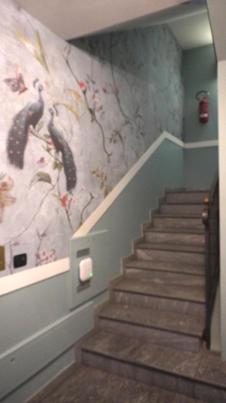 La scala degli appartamenti, con la carta da parati coi pavoni